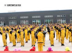 新能源汽车行业成功踏上春天步伐，开启新篇章