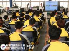 甘肃万通：汽车行业前景怎么样？标普全球评级报告预测稳健增长